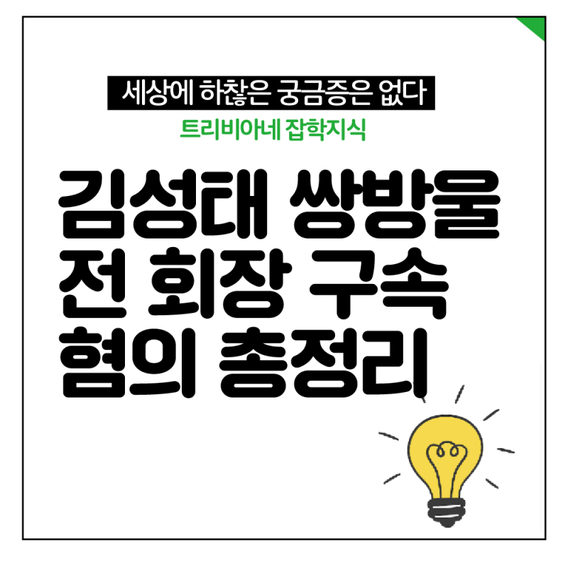 김성태 쌍방울 전 회장 구속영장 혐의 총정리
