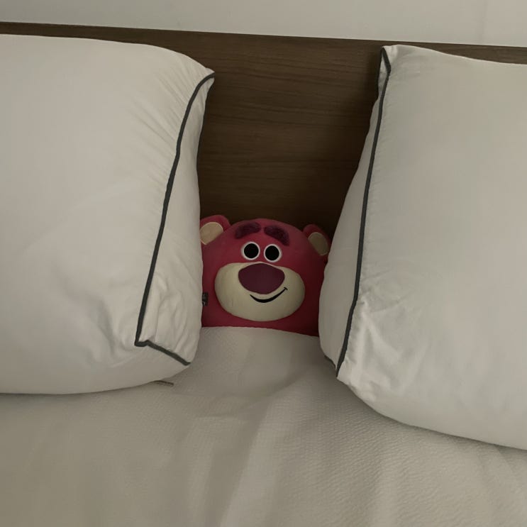  새해 복 많이 받으세요 ️