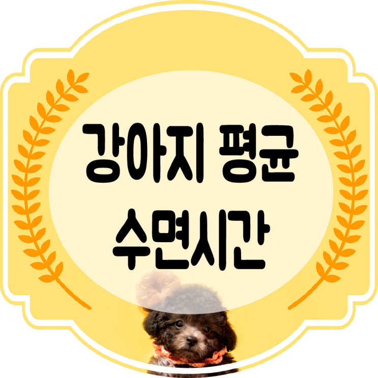  강아지 평균 수면시간 , 잠만 자는 새끼강아지 괜찮을까??