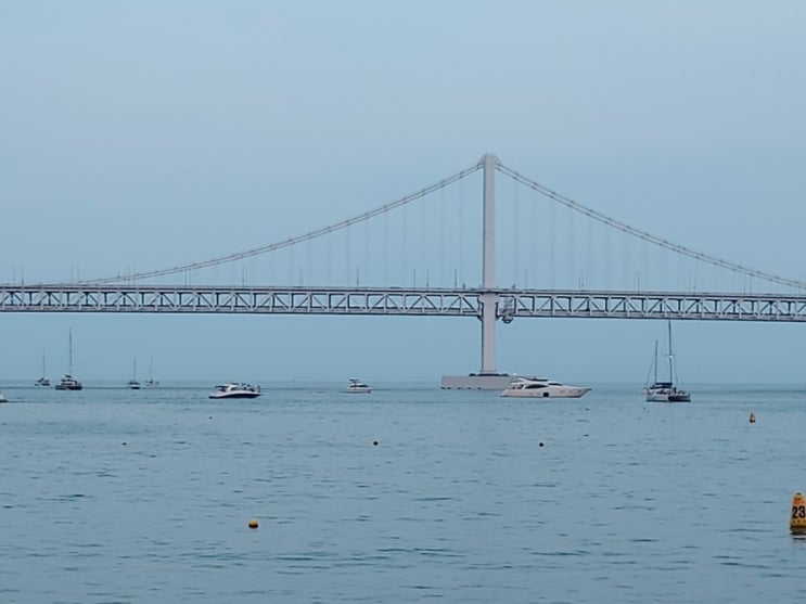  [부산/수영구] 광안대교ㆍ광안리 해변ㆍ광안리 해수욕장