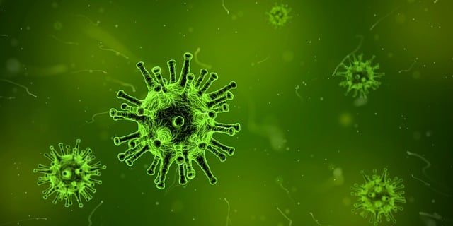 노로바이러스 증상과 전염 예방방법
