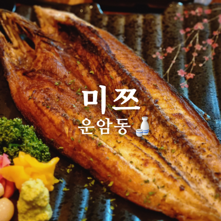  [광주 북구 운암동 삼치구이 맛집] 이자카야 미쯔