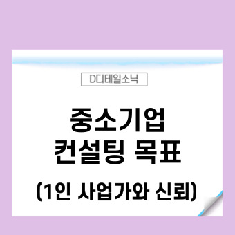  1인 사업가 디테일소닉의 중소기업 컨설팅 목표와 방침(기업인증 자금조달)