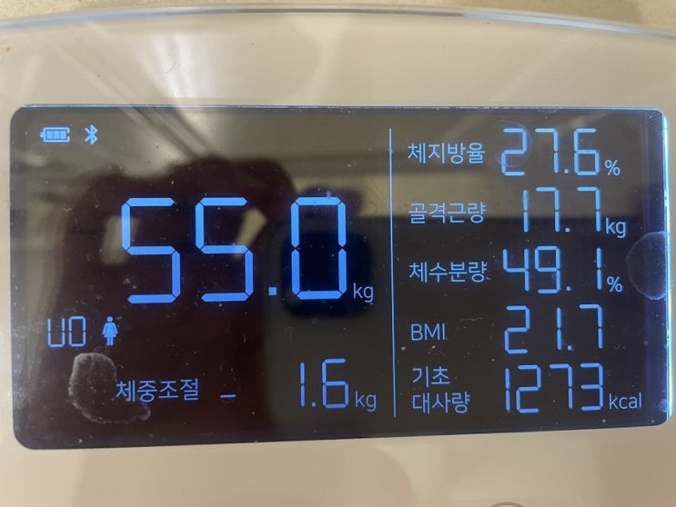  다이어트 15일