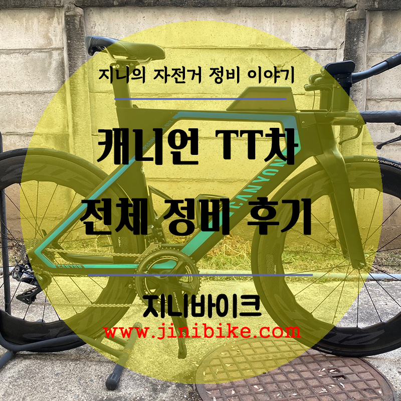 캐년(캐니언) 스피드맥스 CF SLX 정비