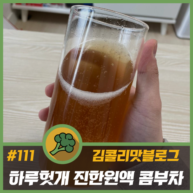  콤부차 효능 및 추천 하루헛개 콤부차 원액 대용량 복숭아맛
