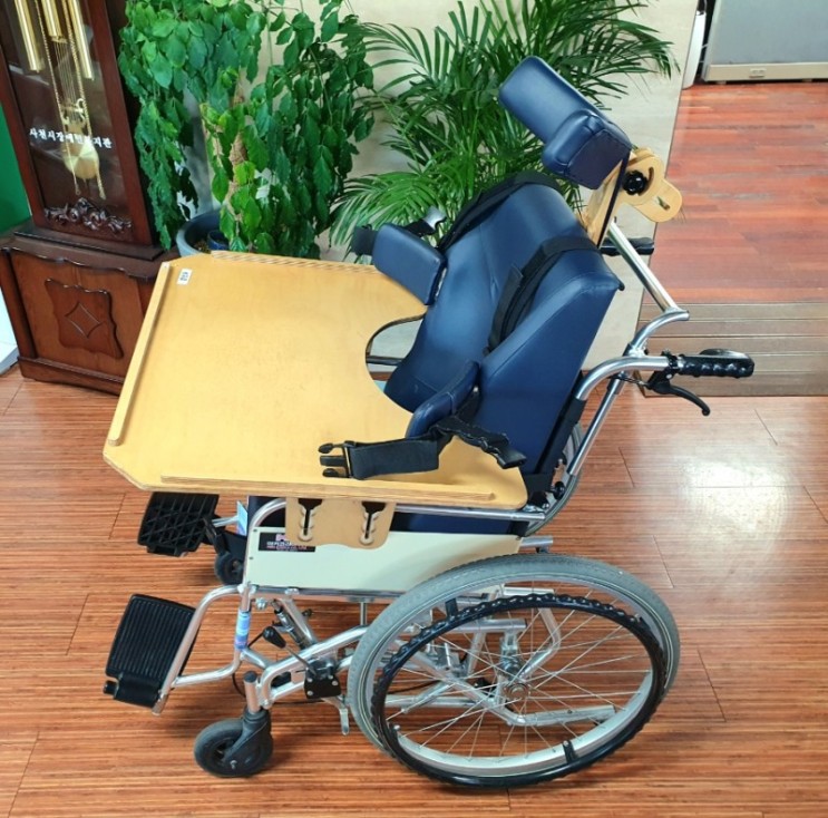 희망 - 화수필 / 휠체어, 발달장애인