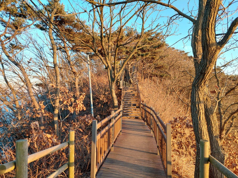 안산 대부도 가볼만한곳 구봉도 낙조전망대 해솔길 소요시간 주차장 일몰시간 서해일몰명소 : 네이버 블로그