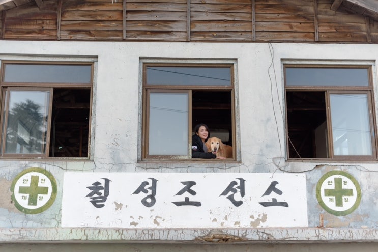  옛 조선소 갬성의 카페 “속초 칠성조선소”️ (애견 동반/대형견가능)