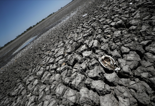 브라질 등 남미 최악 가뭄… 세계 식량위기 재현 우려