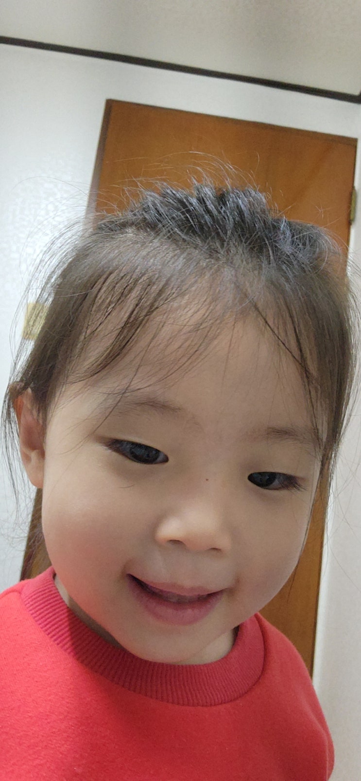  오랜만에 돌아온 설이와 일상 조금