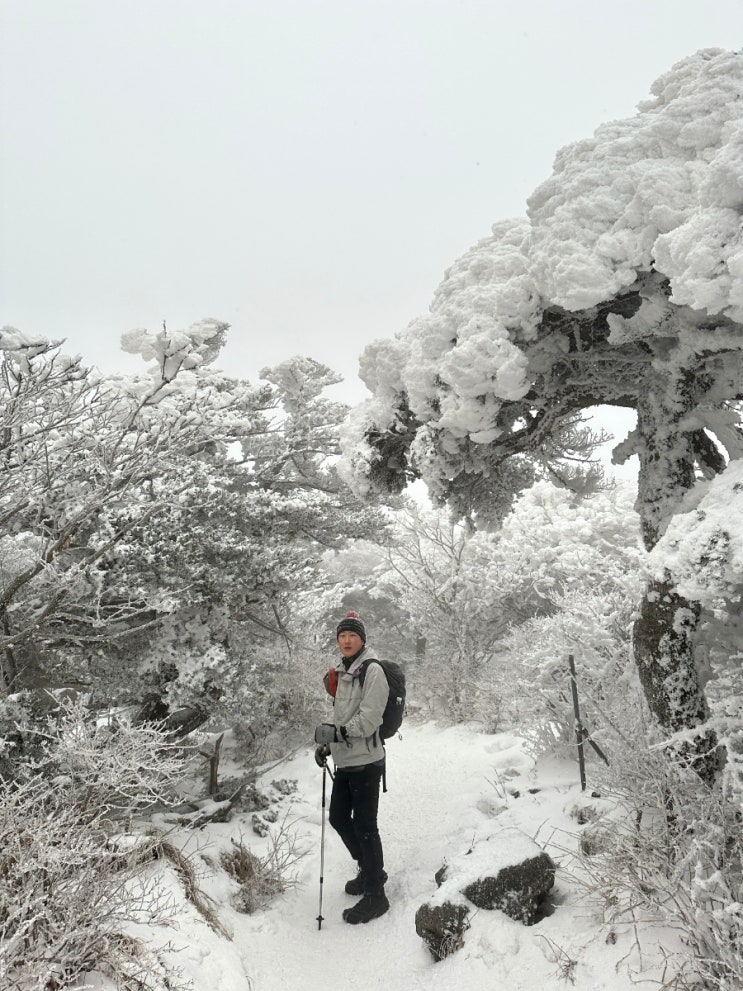 겨울 눈꽃 설산 한라산 영실코스 등반 후기(백록담 통제, 준비물, 숙소, 상고대)