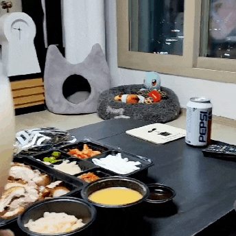  [막걸리만들기] 막걸리 키트로 간단하게 수제막걸리 만들기 /쑈천마트
