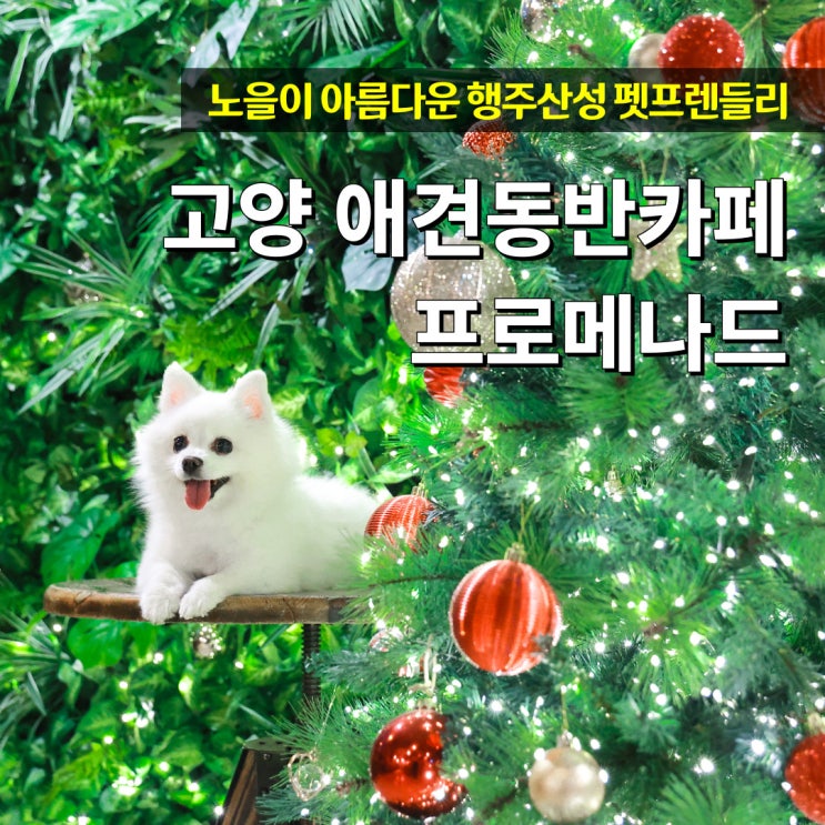  고양 애견카페 행주산성 프로메나드 노을이 아름다운 곳