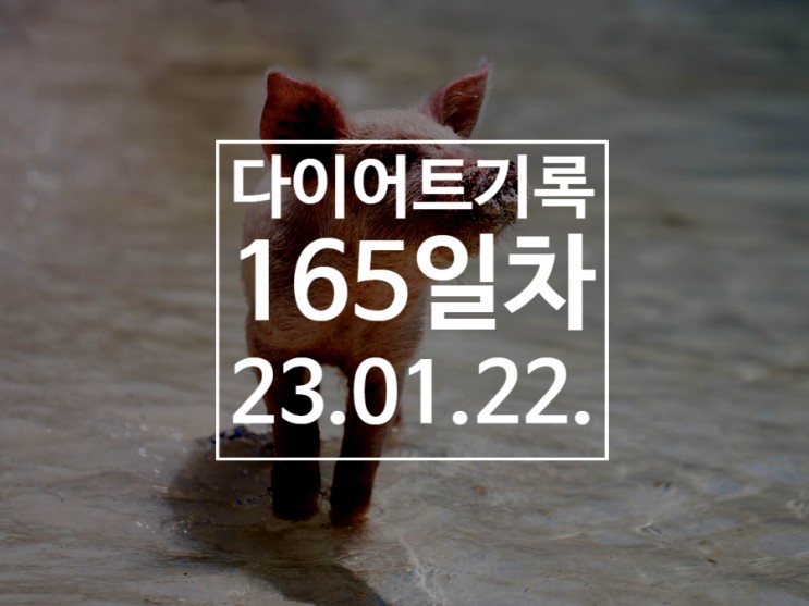 [다이어트기록DAY165] 왕오달 43번  / 10km 달리기 / 그런데 이제 두유를 곁드린