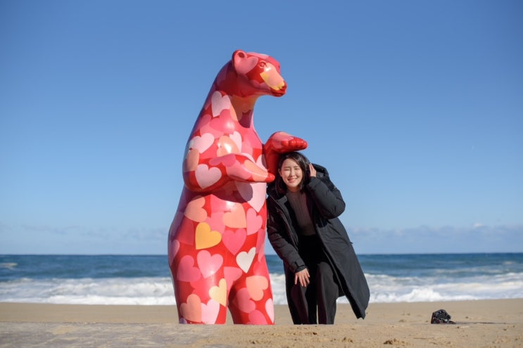  강원도여행 속초 캔싱턴해변 ️ > 외옹치항둘레길 > 청초호