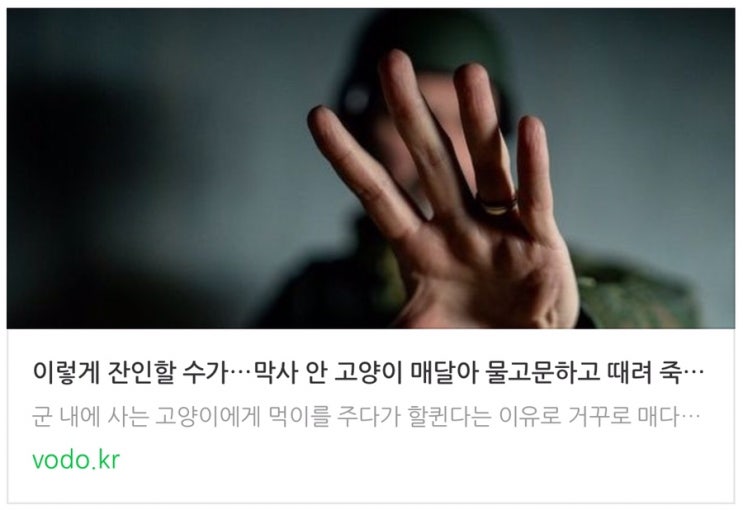 [오늘저녁뉴스] 이렇게 잔인할 수가…막사 안 고양이 매달아 물고문하고 때려 죽인 군인들