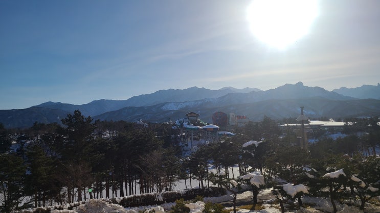 한화리조트 설악쏘라노맛집 왕가수라청 솔직후기 황태구이정식