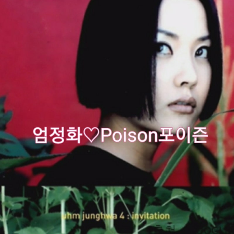 엄정화-Poison포이즌(가사.듣기)추억의 노래