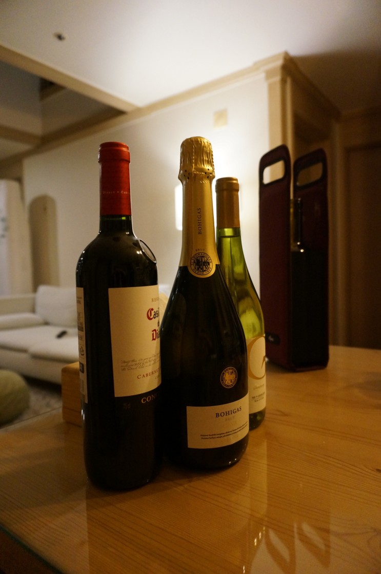 캠핑장에서 와인 칠링 쉽게 하는 법. 아네스 와인쿨러캐리어