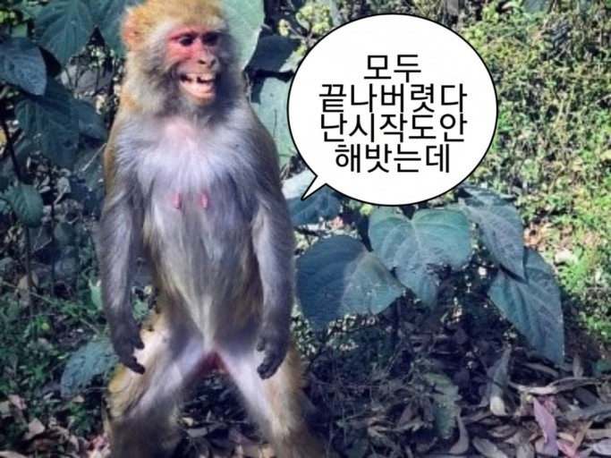  시간표짜다 현타온 사람의 블로그