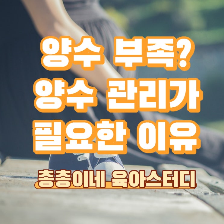  양수가 부족하다면? 늘리는 방법과 과소증 과대증 관리 양수량