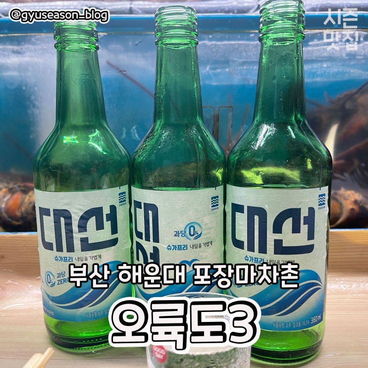  부산 해운대 술맛집 포장마차촌 바다마을 오륙도3 리뷰
