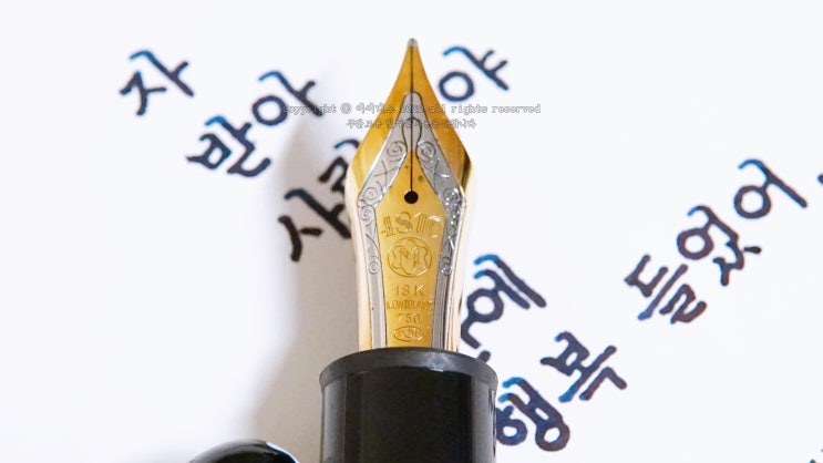  선물 (몽블랑 마이스터스튁 149 M닙 만년필로 필사하기)