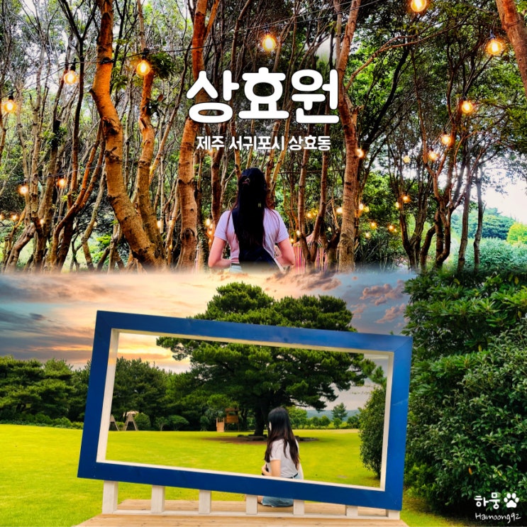  제주도 상효원수목원, 서귀포시 식물원 포토존 맛집