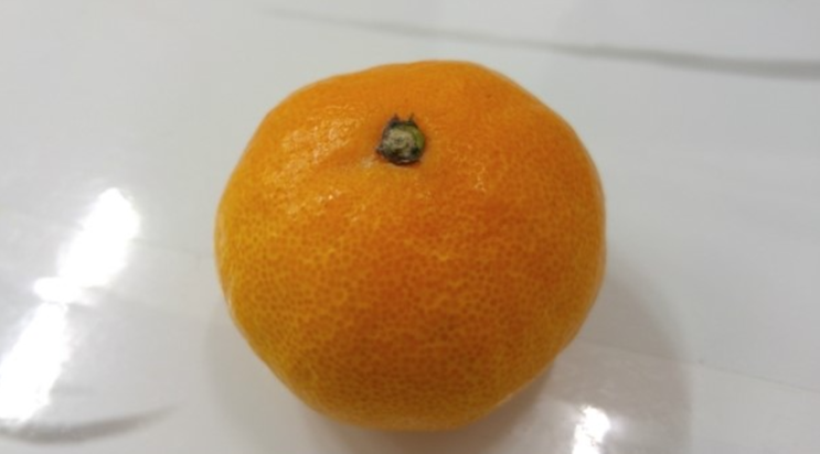  새콤달콤한 귤 맛나요>.<, 감귤 효능 부작용 있다 VS 없다?