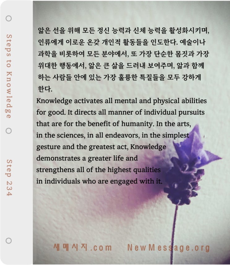 제 234 계단: 앎은 모든 방면에서 인류를 돕는다 Knowledge serves humanity in all ways.