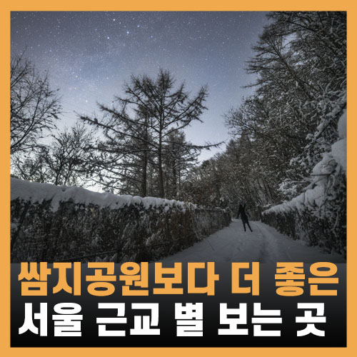  서울·경기도 별구경 - 나혼자산다 화사 쌈지공원 대체장소 / 겨울 드라이브 코스 추천