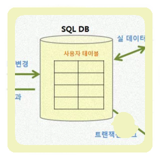  MySQL, MSSQL, 오라클 강의를 기초부터 인강 강좌로 학습하기