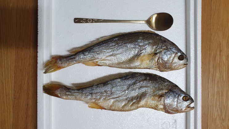  영광 법성포 보리굴비 설날 명절 선물세트