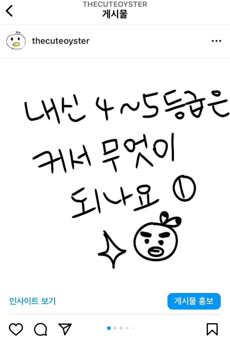  내신 4등급짜리 어른들은 지금 뭐하고 살까?