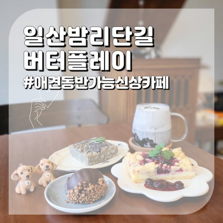  일산 밤리단길 신상카페 애견동반가능한 버터플레이