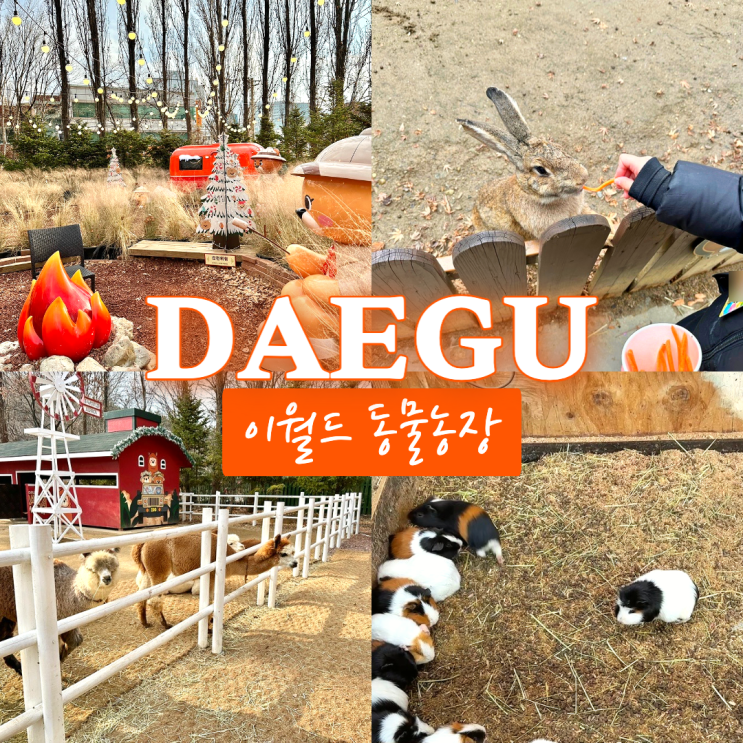  이월드 동물농장 먹이주기체험이 가능한 대구 작은 동물원