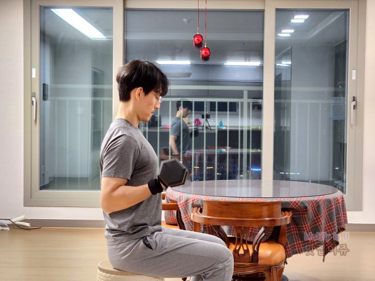 홈트 덤벨 운동 필수템 이고진 고무육각아령 후기