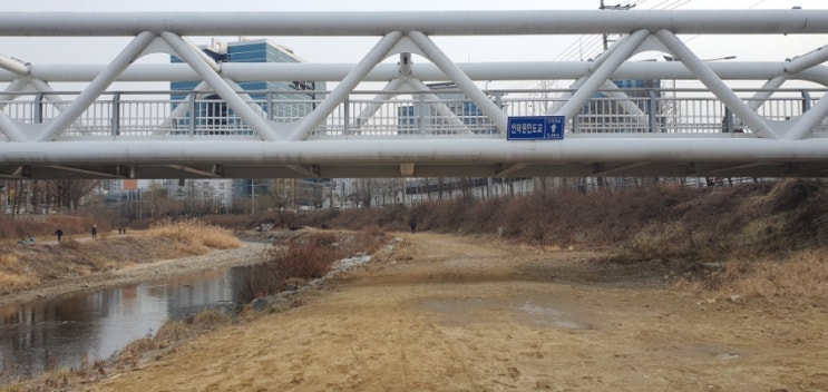  안양 학의천 맨발걷기 좋은 길