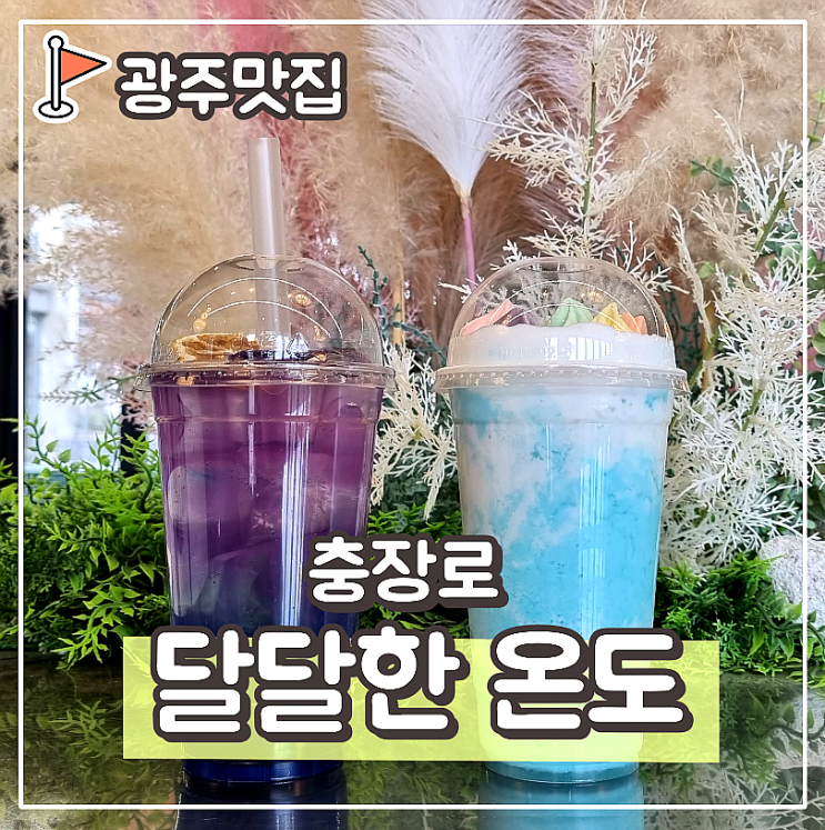  광주 충장로 디저트카페 마들렌, 에그타르트가 맛있는 곳 : 달달한 온도