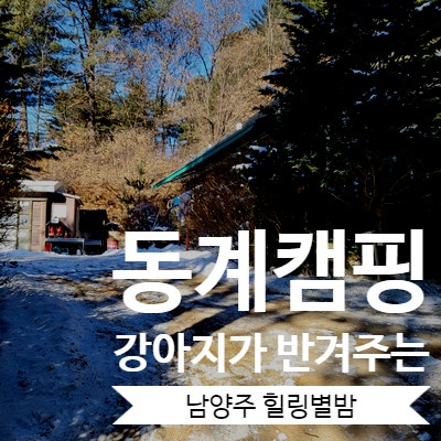  [캠핑일기] 강아지가 반기는 캠핑장 / 남양주 힐링별밤수목원캠핑장
