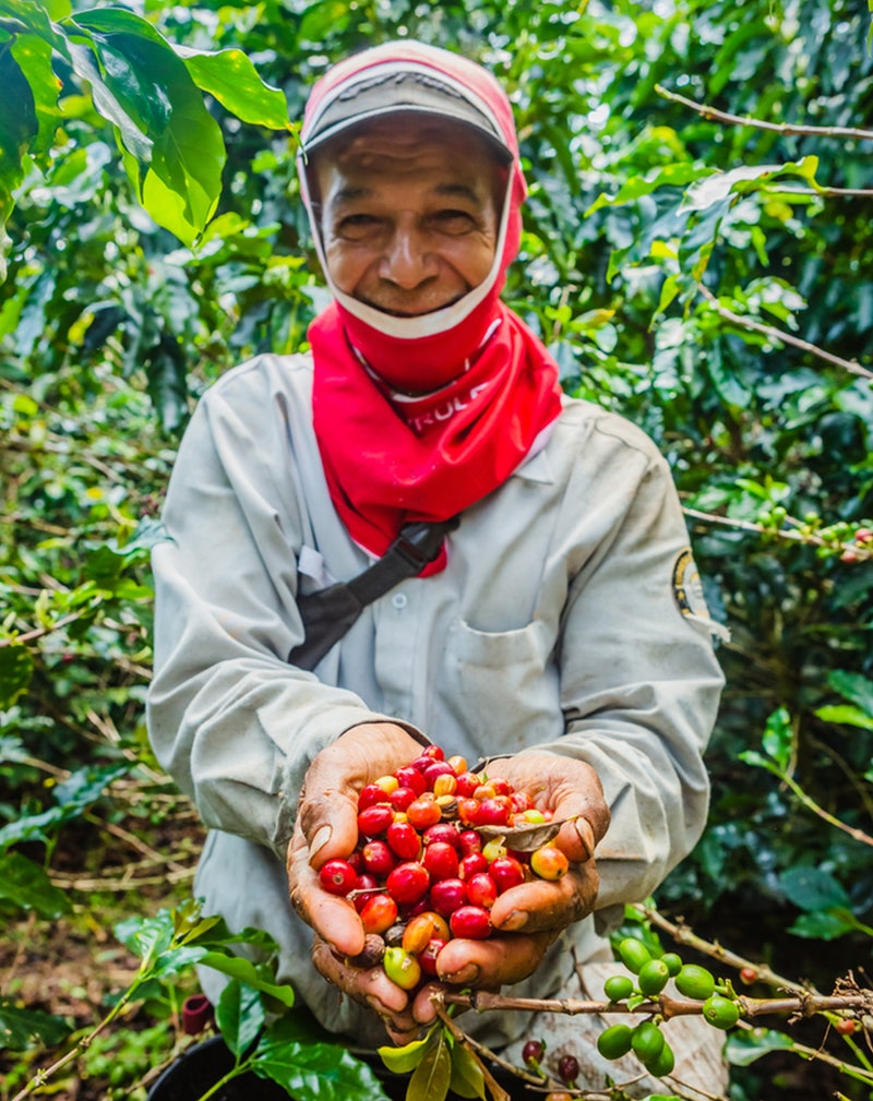 커피, COFFEE : 네이버 블로그, image size:800x1009