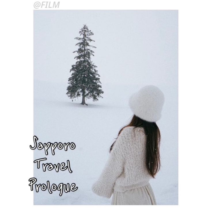  1월 삿포로 3박4일 혼자여행 prologue