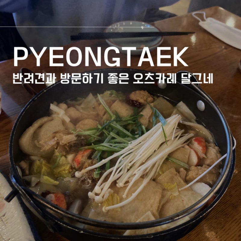 사진 4