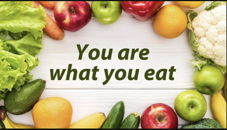  [영어] you are what you eat을 아시나요
