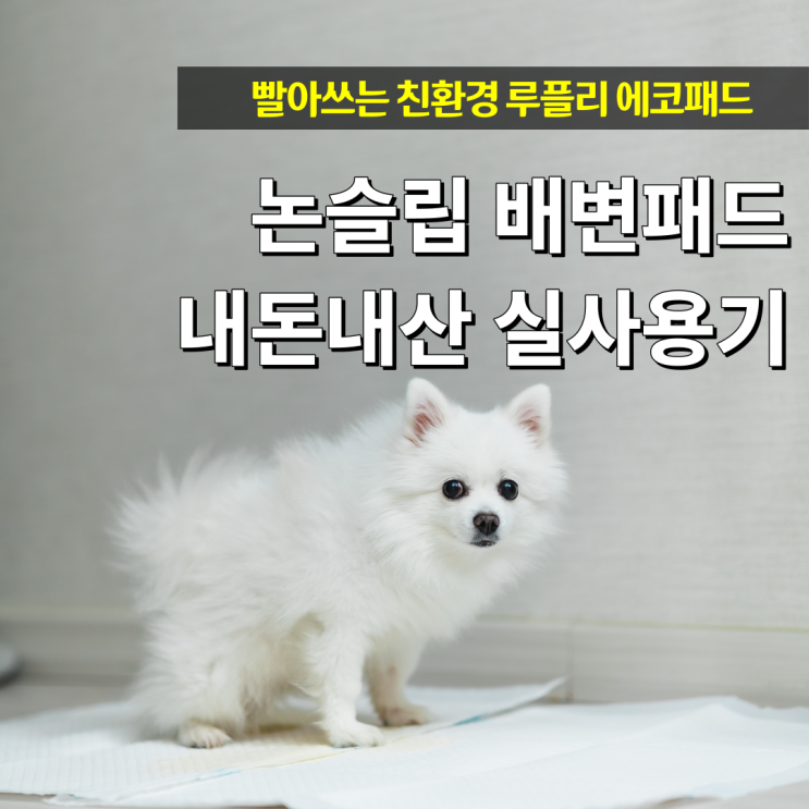  논슬립 배변패드 빨아쓰는 루플리 에코패드 실사용기
