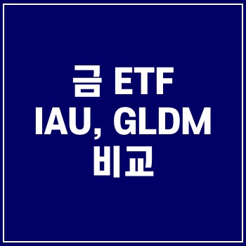  IAU, GLDM ETF 금 투자 비교