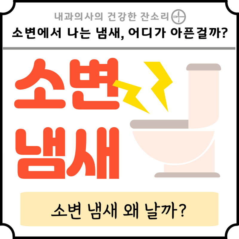 소변에서 나는 냄새 괜찮을까? 어디가 아픈 걸까? : 네이버 블로그