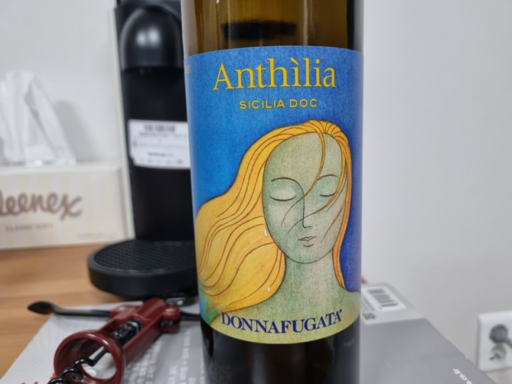 화이트 와인 코스트코 와인 안실리아 돈나푸가타 &  홈플러스 와인 1887