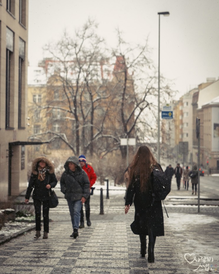 오늘도 눈이 펑펑! 23년 1월 22일 체코 프라하 날씨 by 석영작가